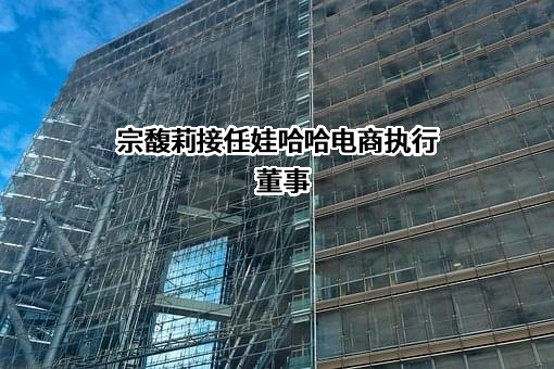 杭州娃哈哈电子商务有限公司