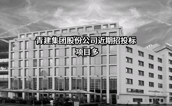 青建集团股份公司