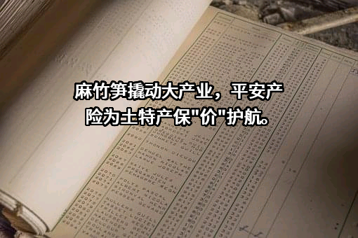 中国平安财产保险股份有限公司