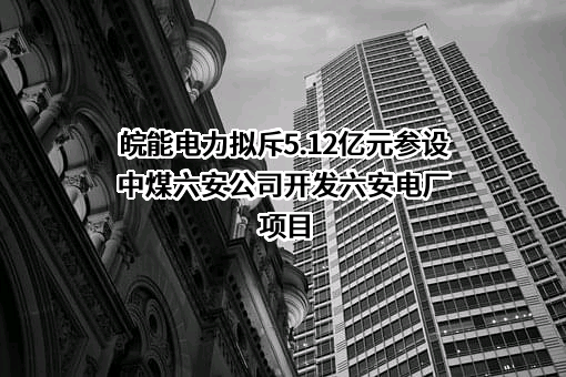 安徽省皖能股份有限公司