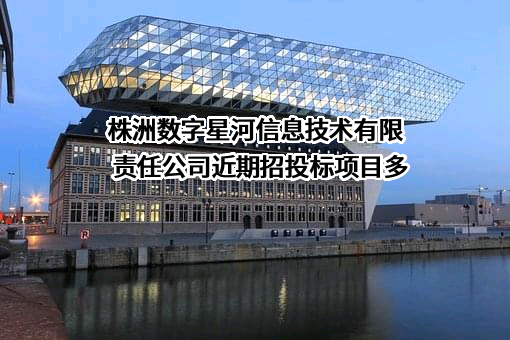 株洲数字星河信息技术有限责任公司