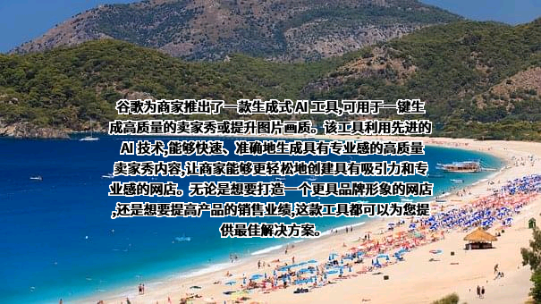 谷歌信息技术（中国）有限公司