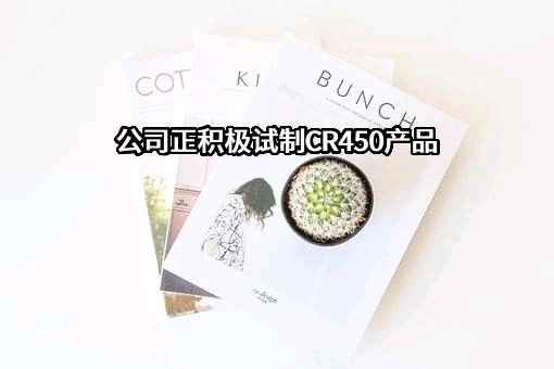 南京雷尔伟新技术股份有限公司