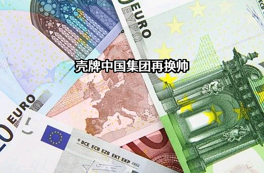 壳牌（中国）有限公司