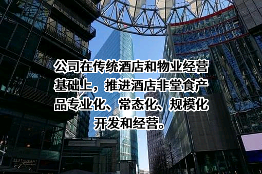 长沙通程控股股份有限公司