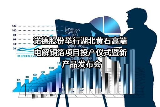 诺德新材料股份有限公司