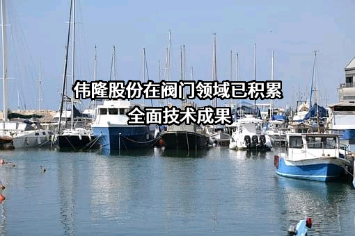 青岛伟隆阀门股份有限公司