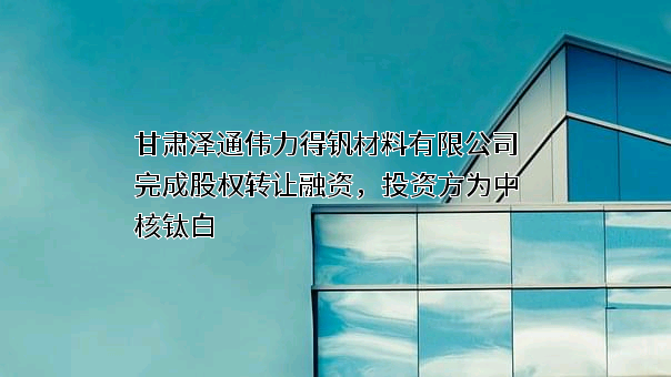 甘肃泽通伟力得钒材料有限公司