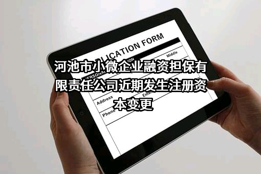 河池市小微企业融资担保有限责任公司