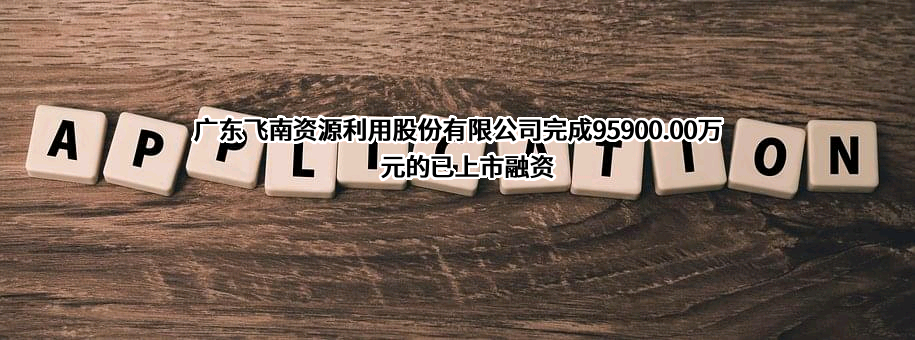 广东飞南资源利用股份有限公司