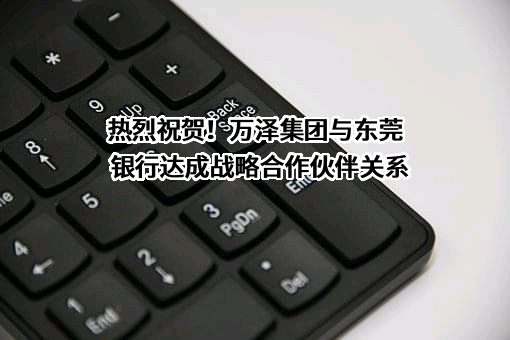 东莞银行股份有限公司