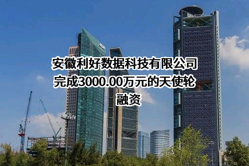 安徽利好数据科技有限公司