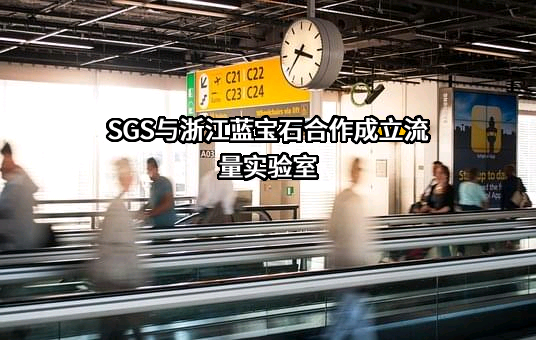 浙江蓝宝石仪表科技有限公司