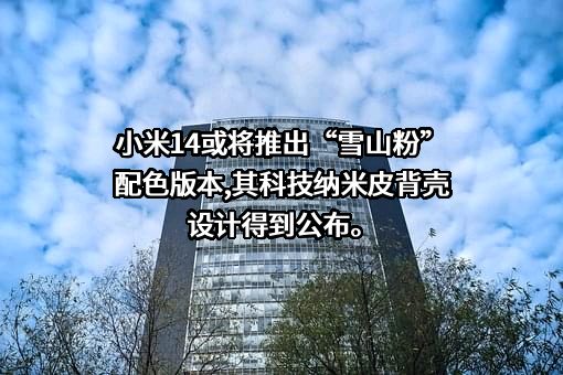 小米科技有限责任公司