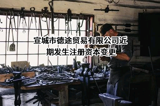 宣城市德途贸易有限公司
