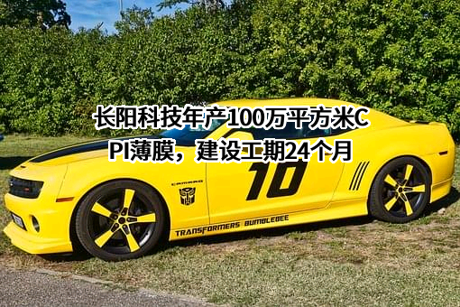 宁波长阳科技股份有限公司