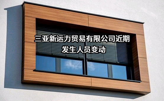 三亚新运力贸易有限公司