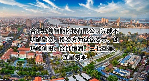 合肥辉羲智能科技有限公司