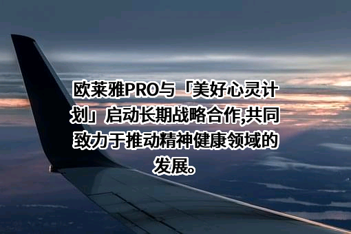 中国职工发展基金会