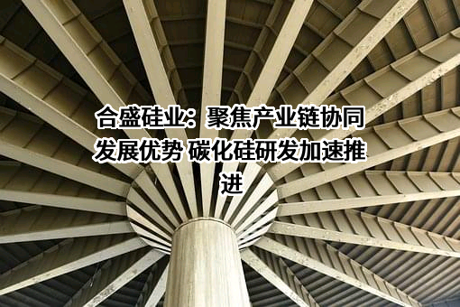 合盛硅业股份有限公司