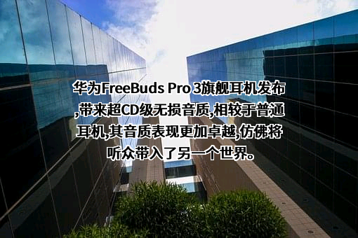 华为技术有限公司