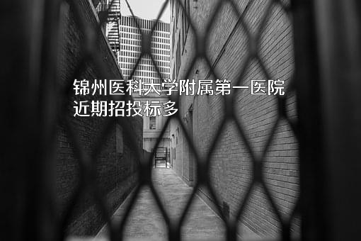 锦州医科大学附属第一医院