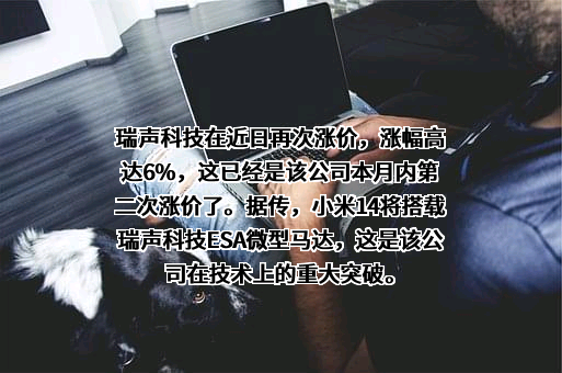 瑞声科技控股股份有限公司
