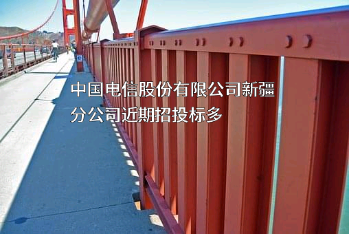 中国电信股份有限公司新疆分公司