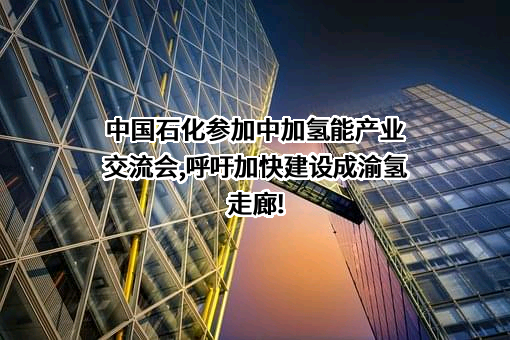 重庆石油（集团）有限公司