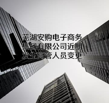 芜湖安购电子商务集团有限公司