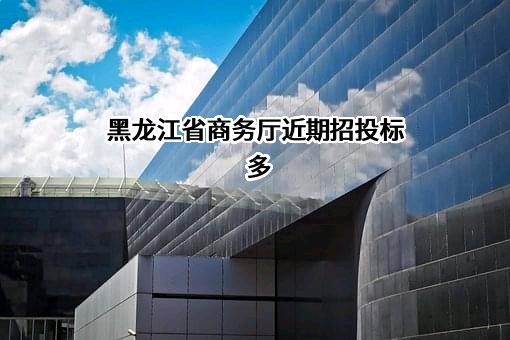黑龙江省商务厅