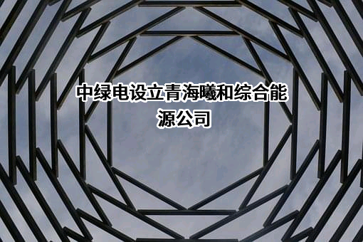 国网（青海）综合能源服务有限公司