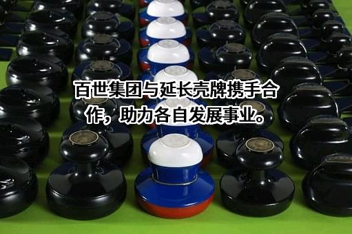 百世物流科技（中国）有限公司