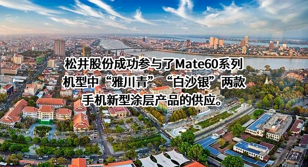 湖南松井新材料股份有限公司