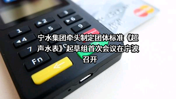 宁波水表（集团）股份有限公司