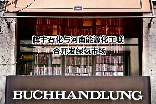 江苏辉丰石化有限公司