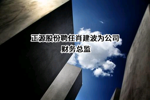 正源控股股份有限公司