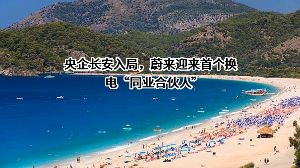 重庆长安汽车股份有限公司