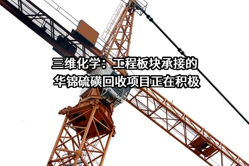 山东三维化学集团股份有限公司