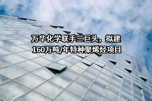 万华化学联手三巨头，拟建160万吨/年特种聚烯烃项目