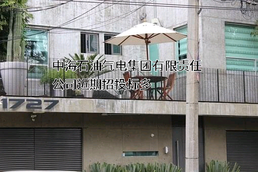 中海石油气电集团有限责任公司