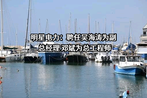 四川明星电力股份有限公司