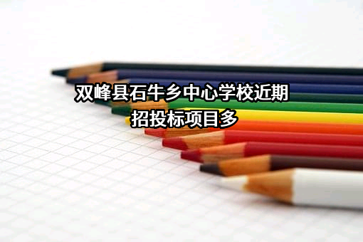 双峰县石牛乡中心学校