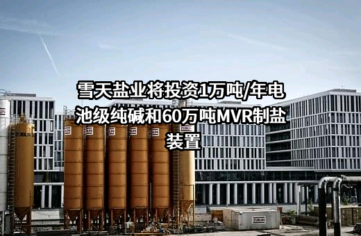 重庆索特盐化股份有限公司