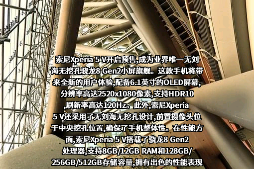 索尼（中国）有限公司