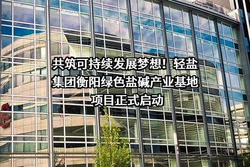 湖南省轻工盐业集团有限公司