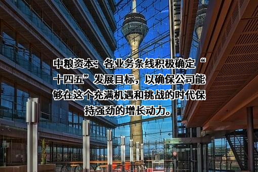 中粮资本控股股份有限公司