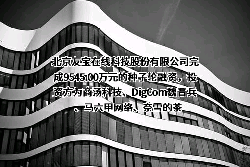 北京友宝在线科技股份有限公司