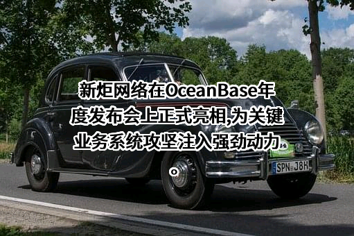上海新炬网络信息技术股份有限公司