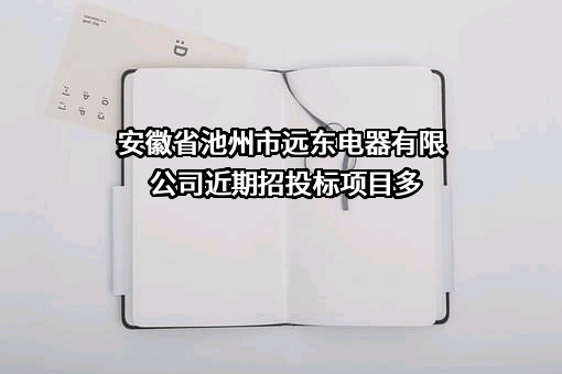 安徽省池州市远东电器有限公司近期招投标项目多